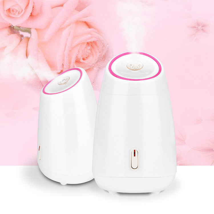 Hydrating Mist Heat Beauty Device
