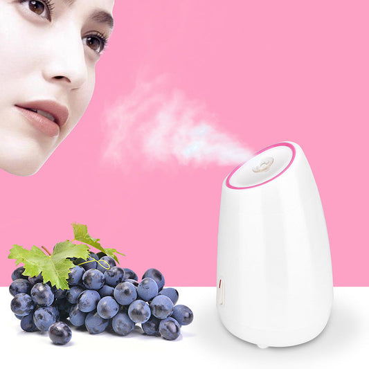Hydrating Mist Heat Beauty Device